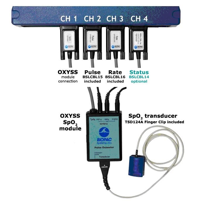 OXYSSH-SYS無創(chuàng)脈搏血氧儀,美國BIOPAC OXYSSH-SYS人體脈搏血氧儀（SPO2）系統(tǒng)